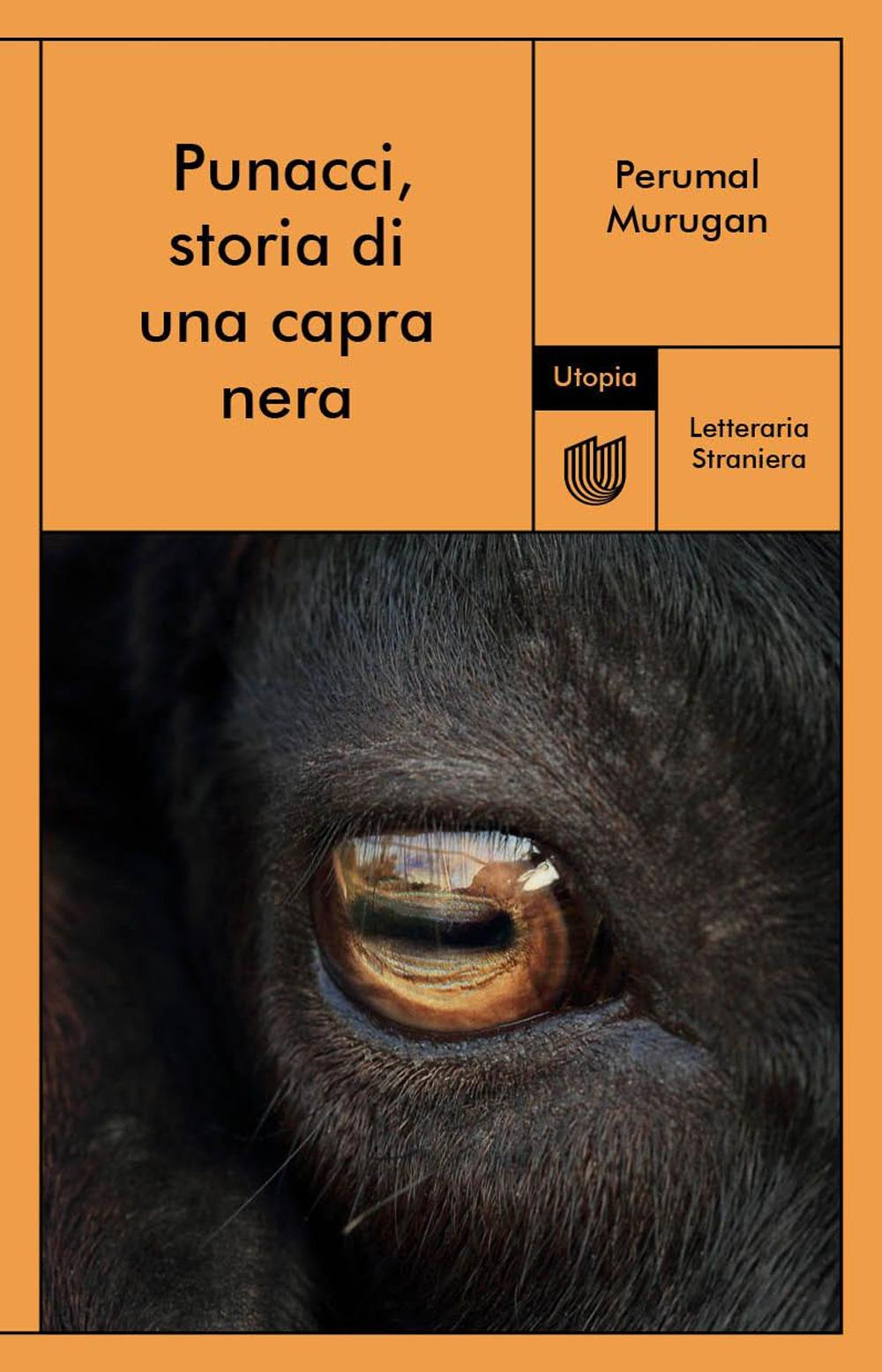 Vorderes Coverbild Punacci, storia di una capra nera