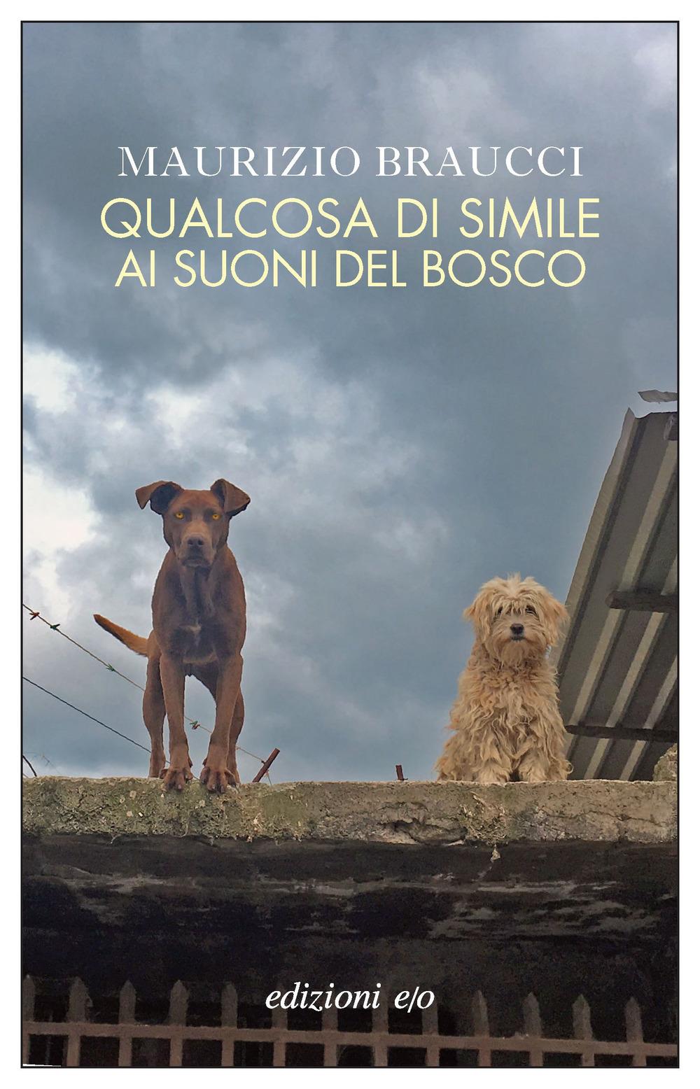 Vorderes Coverbild Qualcosa di simile ai suoni del bosco