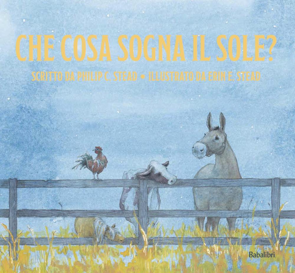 Vorderes Coverbild Che cosa sogna il sole