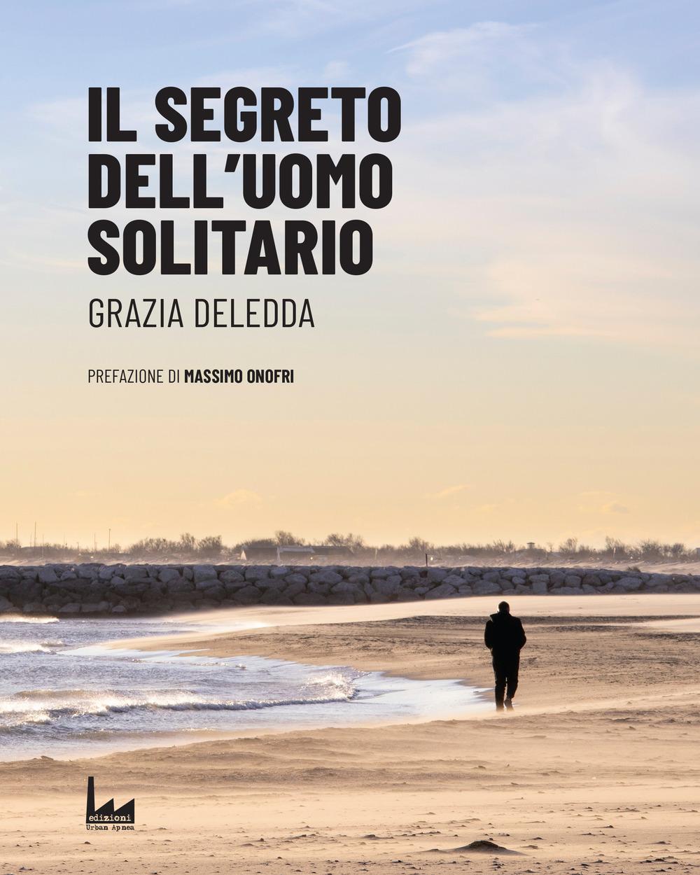 Vorderes Coverbild Il segreto dell'uomo solitario...