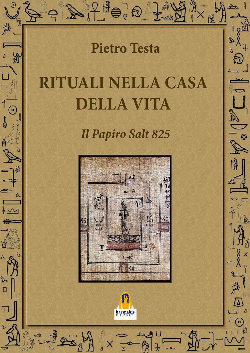 Vorderes Coverbild Rituali nella Casa della Vita. Il Papiro Salt 825