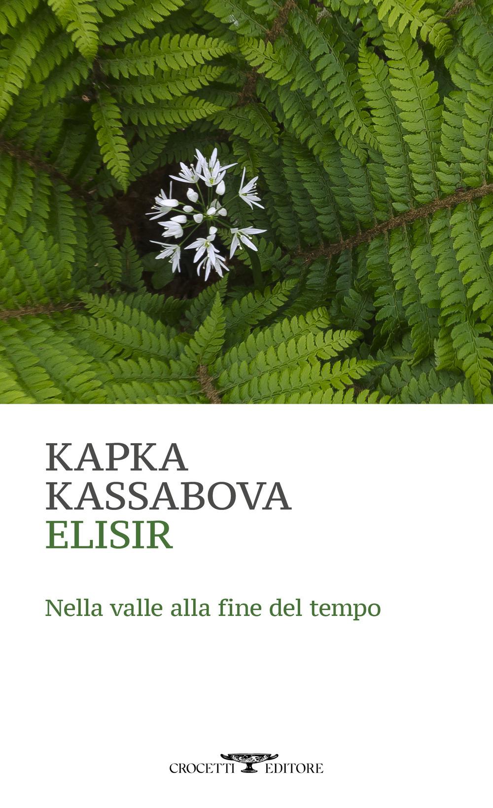Vorderes Coverbild Elisir. Nella valle alla fine del tempo