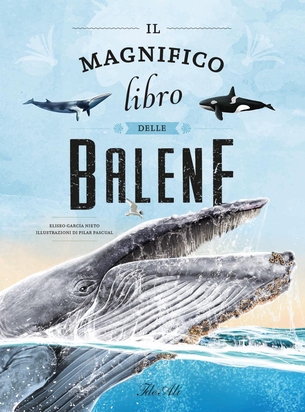 Vorderes Coverbild Il magnifico libro delle balene
