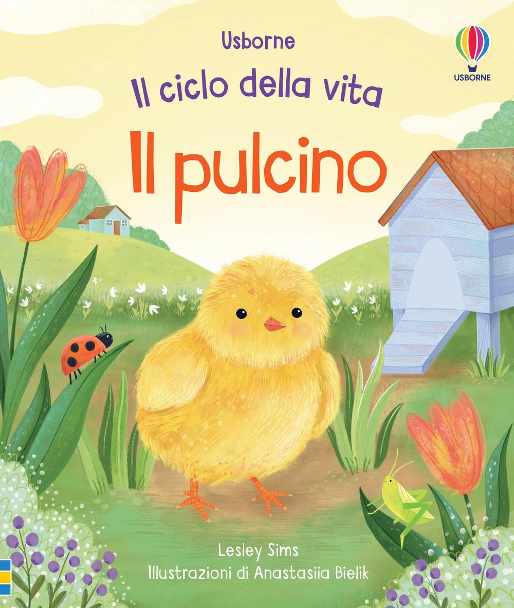 Vorderes Coverbild Il pulcino