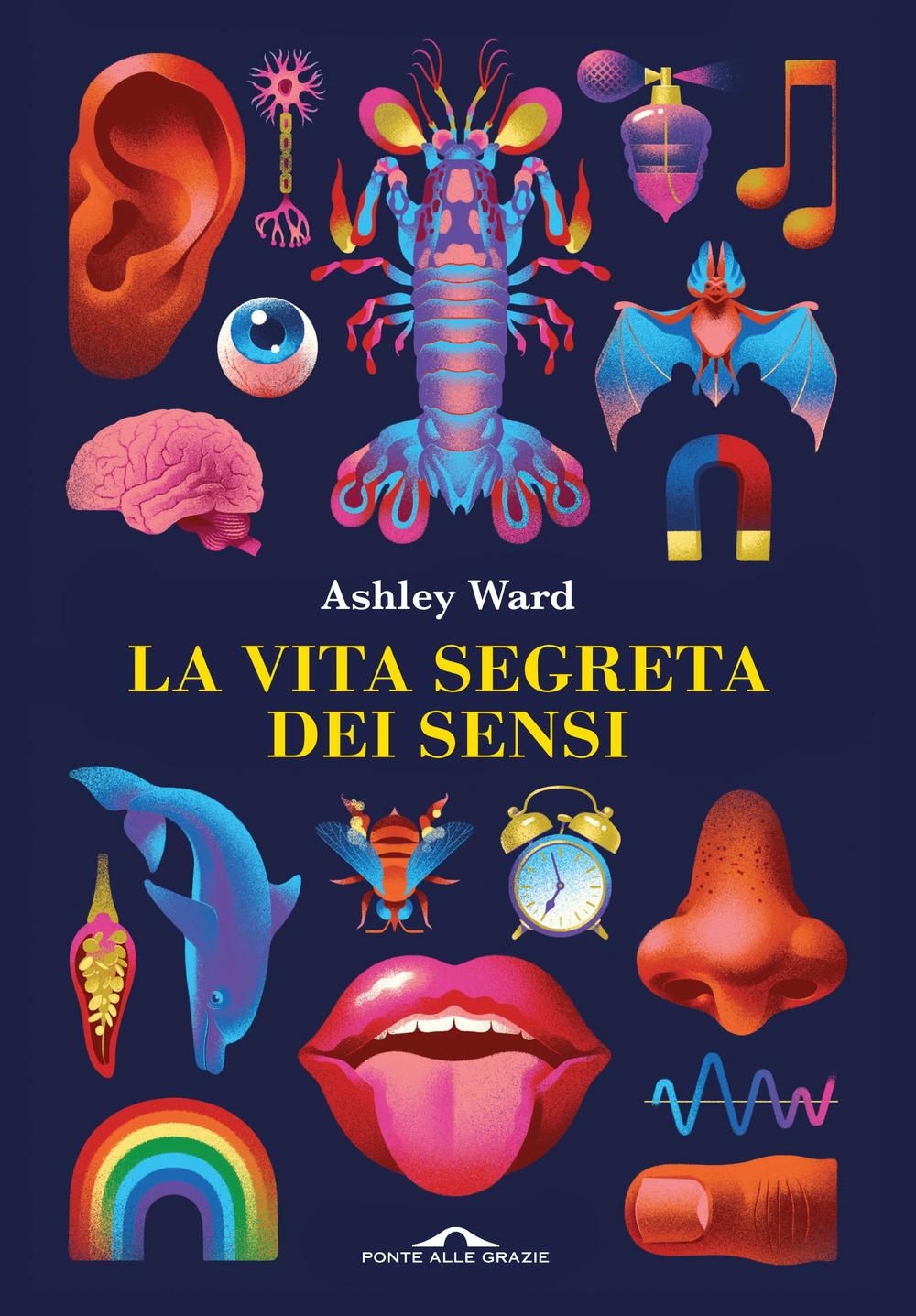 Vorderes Coverbild La vita segreta dei sensi