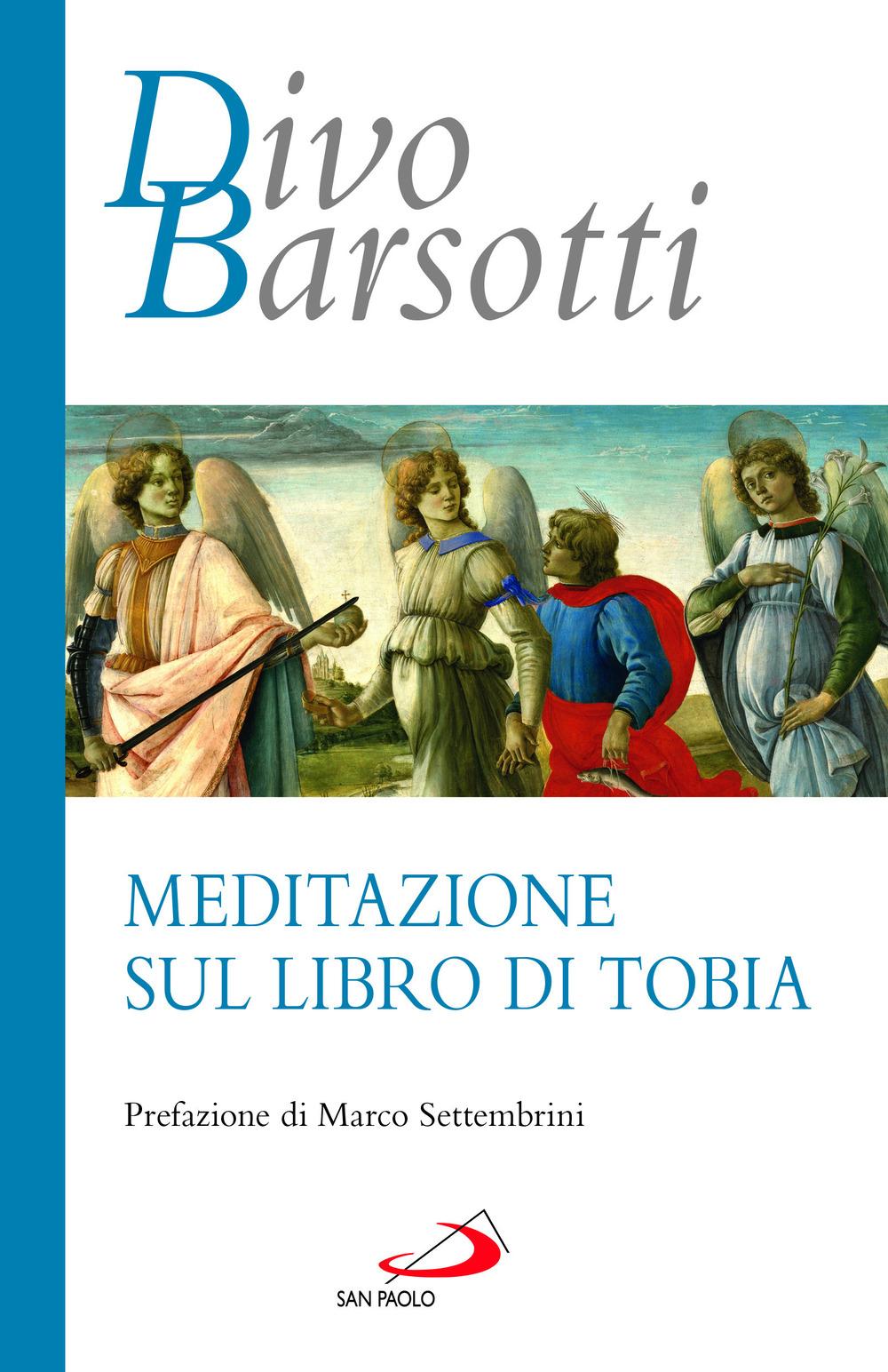 Vorderes Coverbild Meditazione sul libro di Tobia