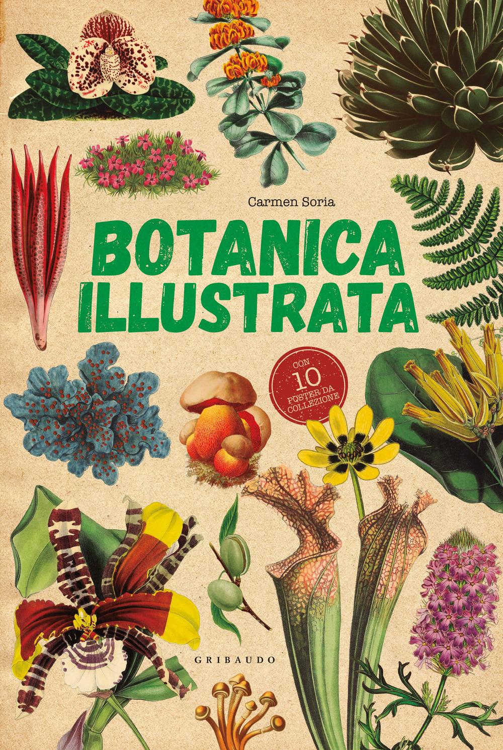 Vorderes Coverbild Botanica illustrata