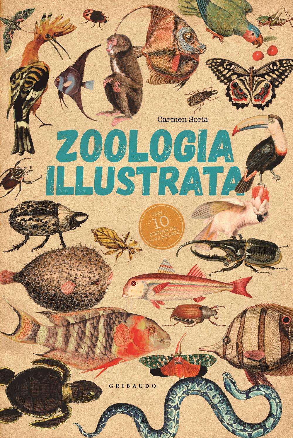 Vorderes Coverbild Zoologia illustrata