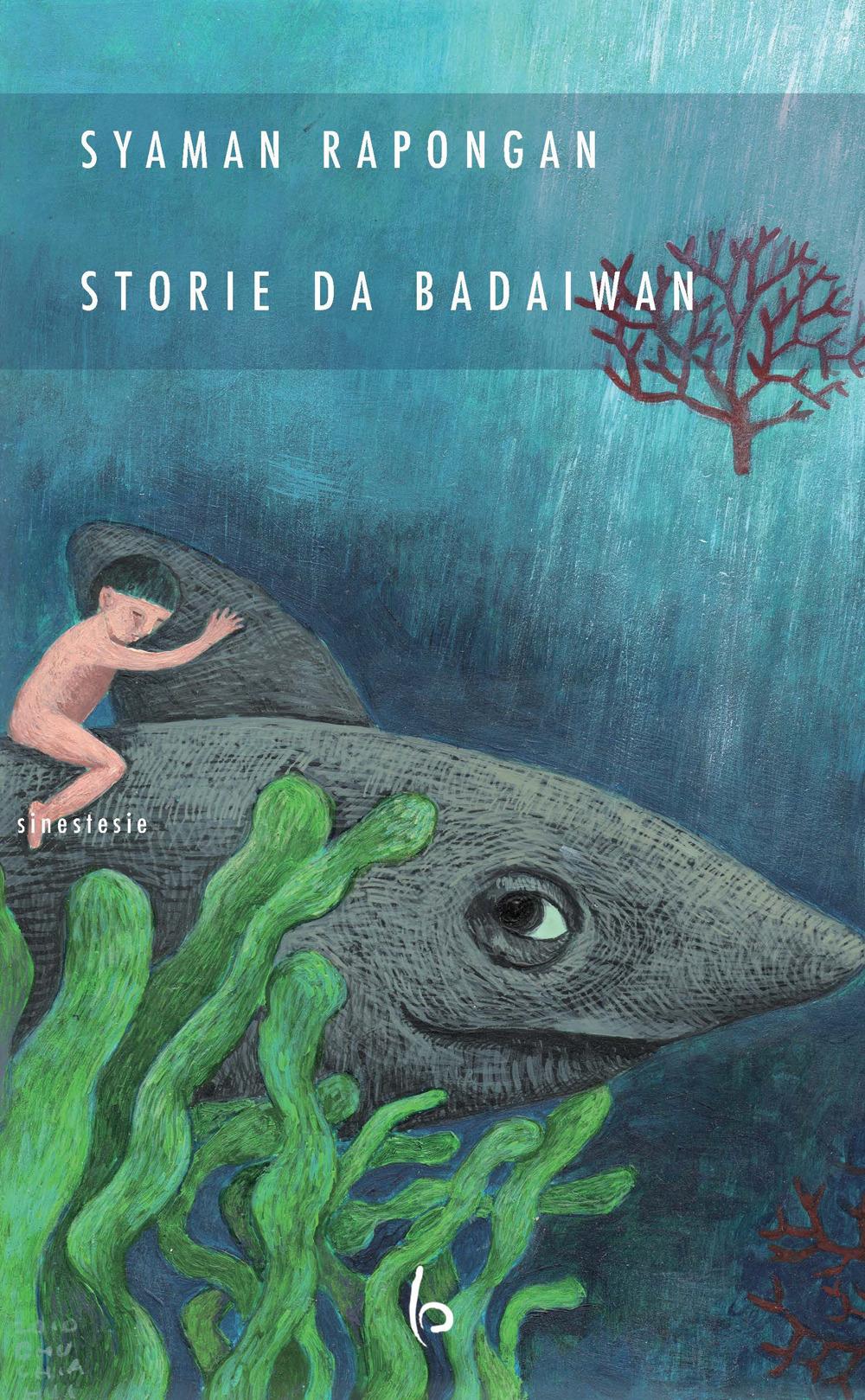 Vorderes Coverbild Storie da Badaiwan
