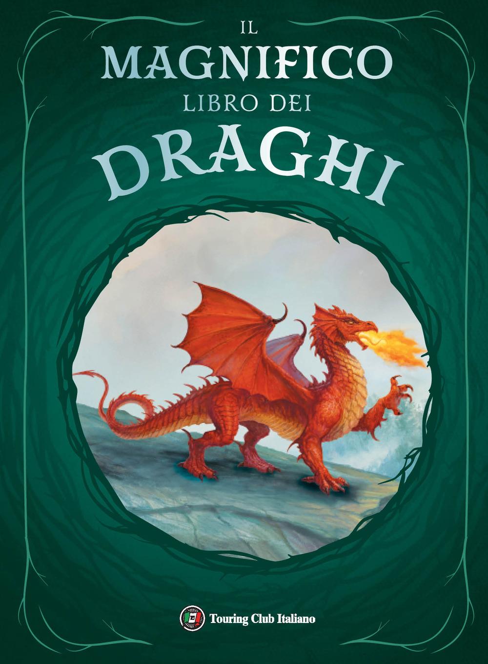 Vorderes Coverbild Il magnifico libro dei draghi