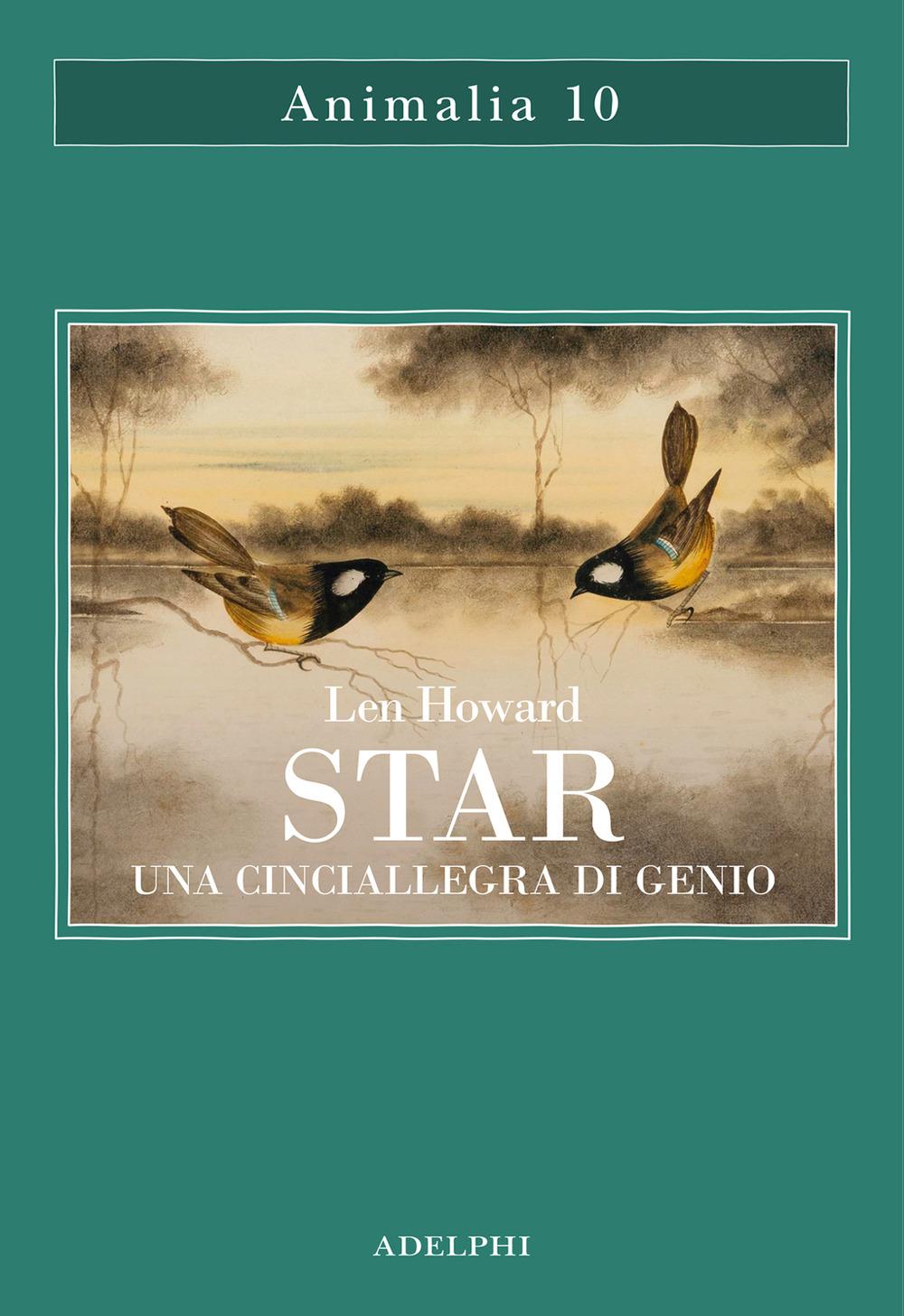Vorderes Coverbild Star. Una cinciallegra di genio
