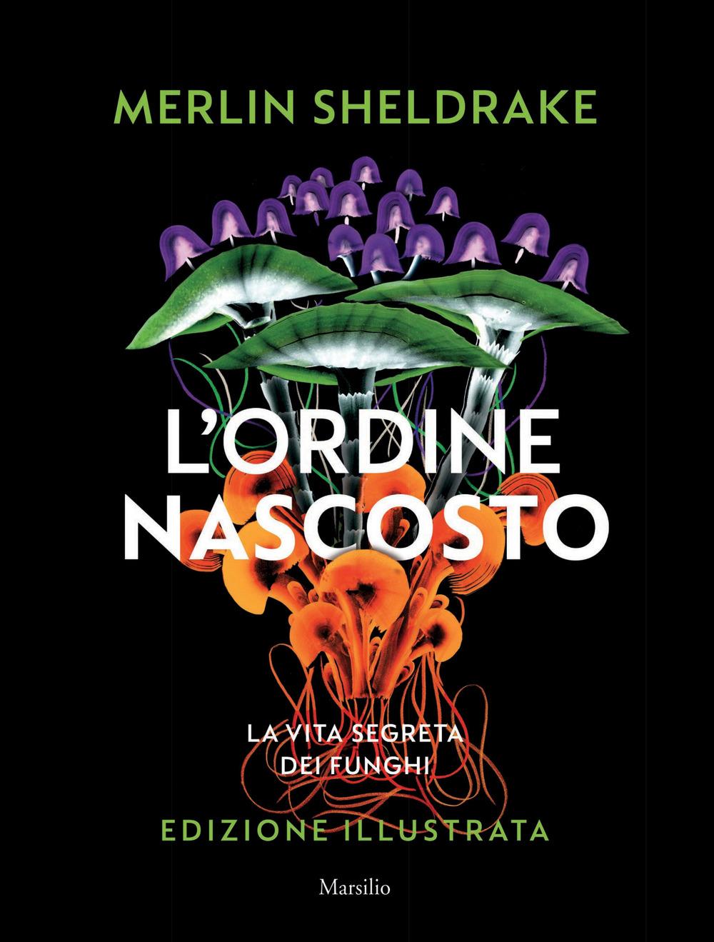 Vorderes Coverbild L' ordine nascosto