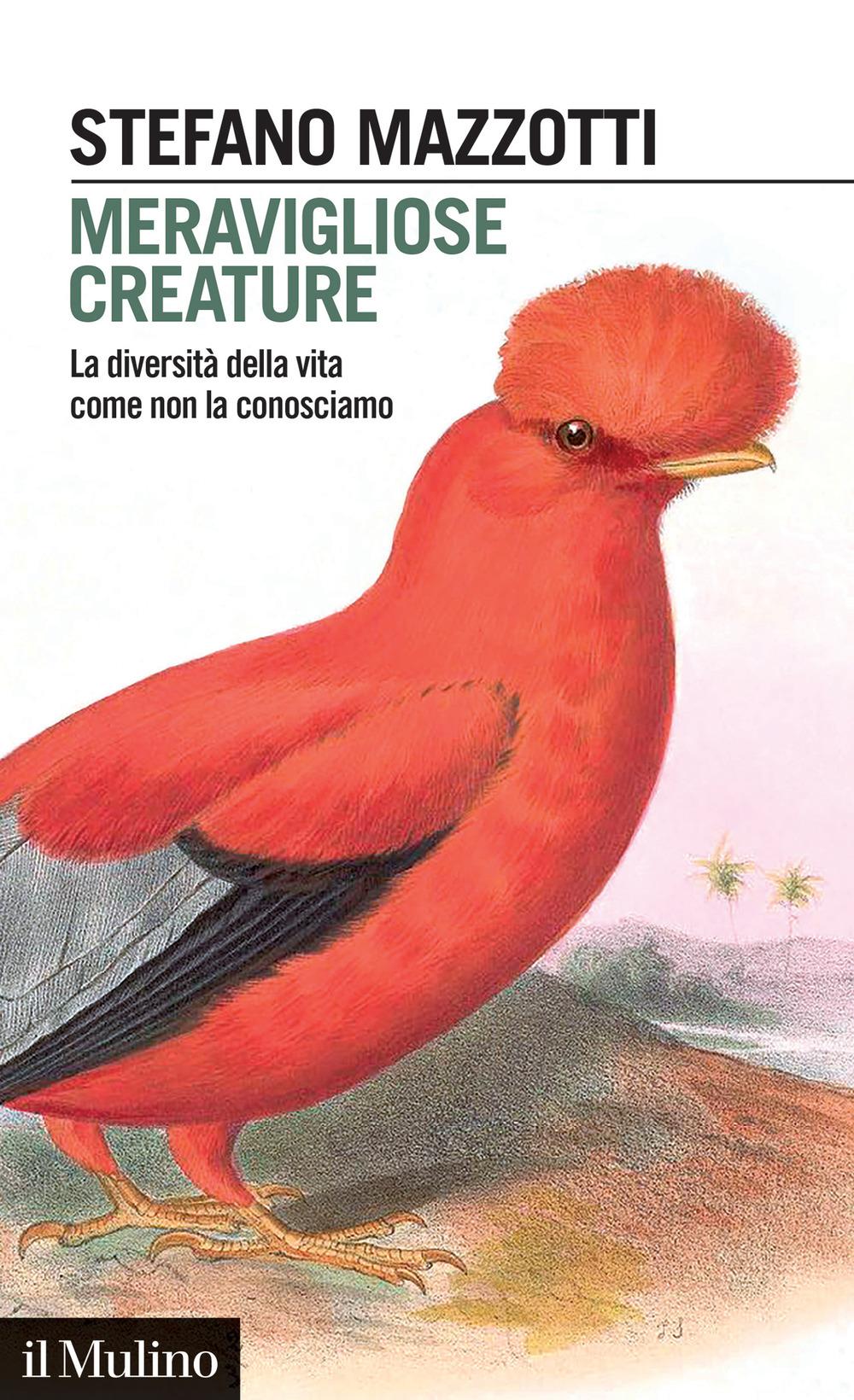 Vorderes Coverbild Meravigliose creature. La diversità della vita come non la conosciamo