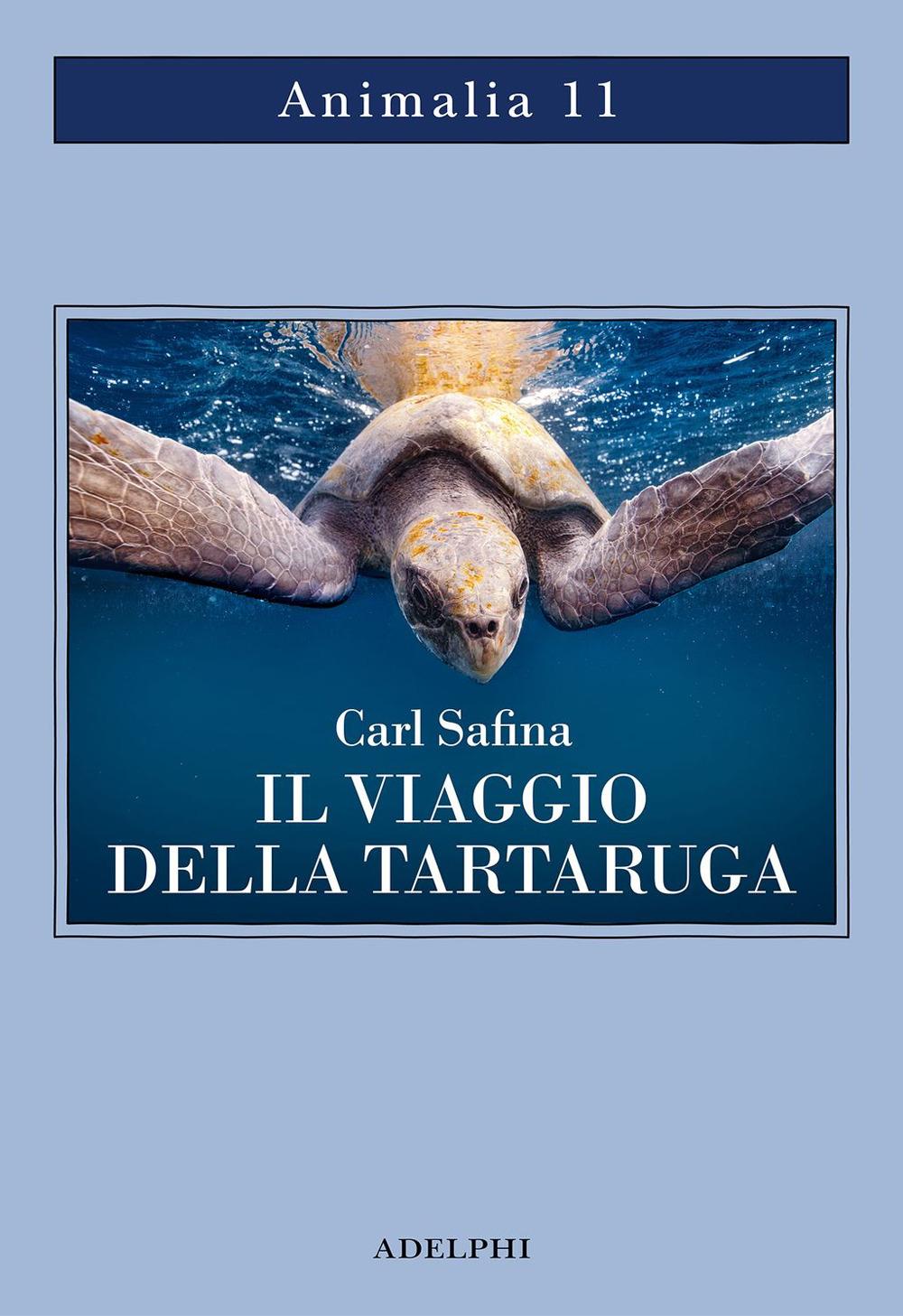 Vorderes Coverbild Il viaggio della tartaruga. Alla ricerca dell'ultimo dinosauro