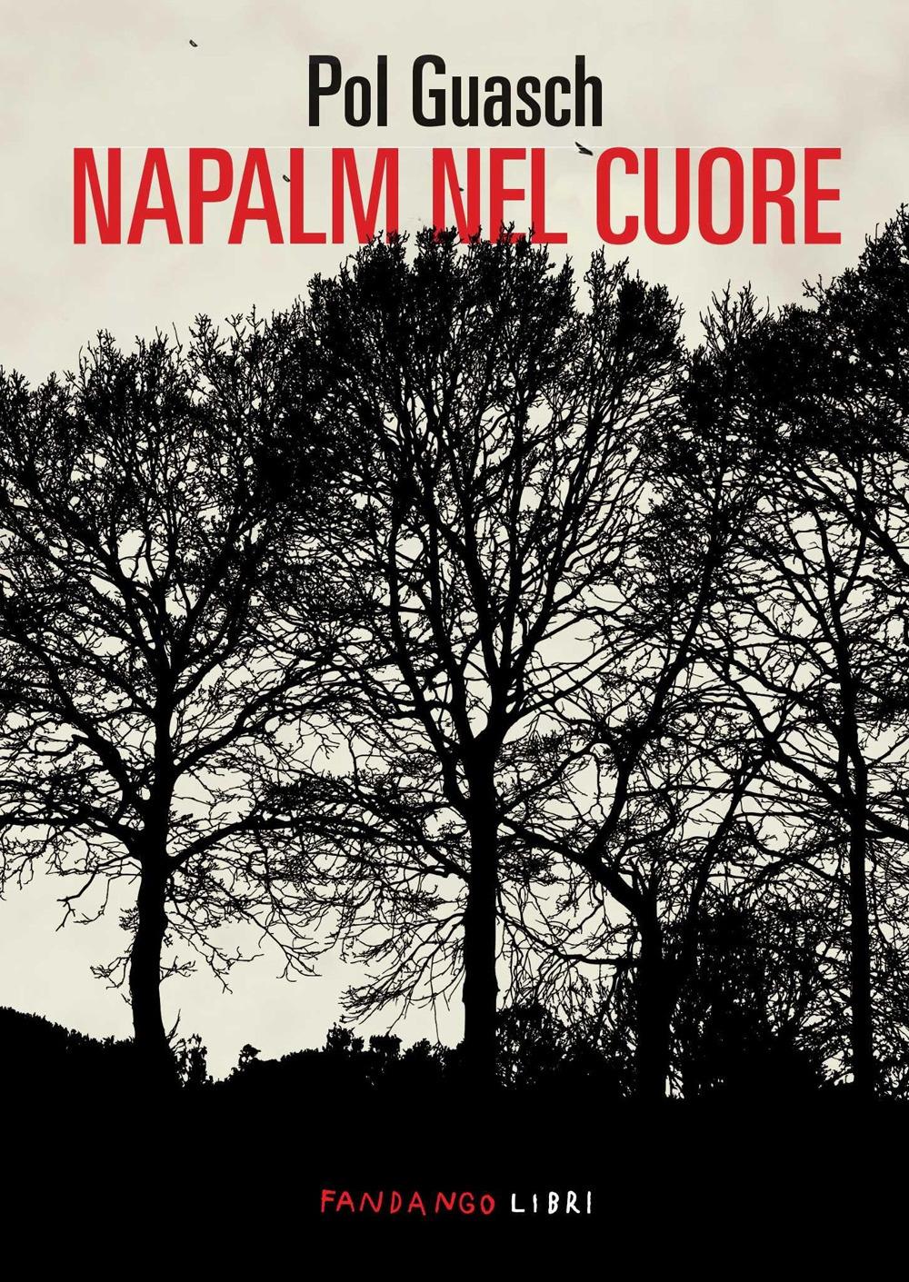 Vorderes Coverbild Napalm nel cuore