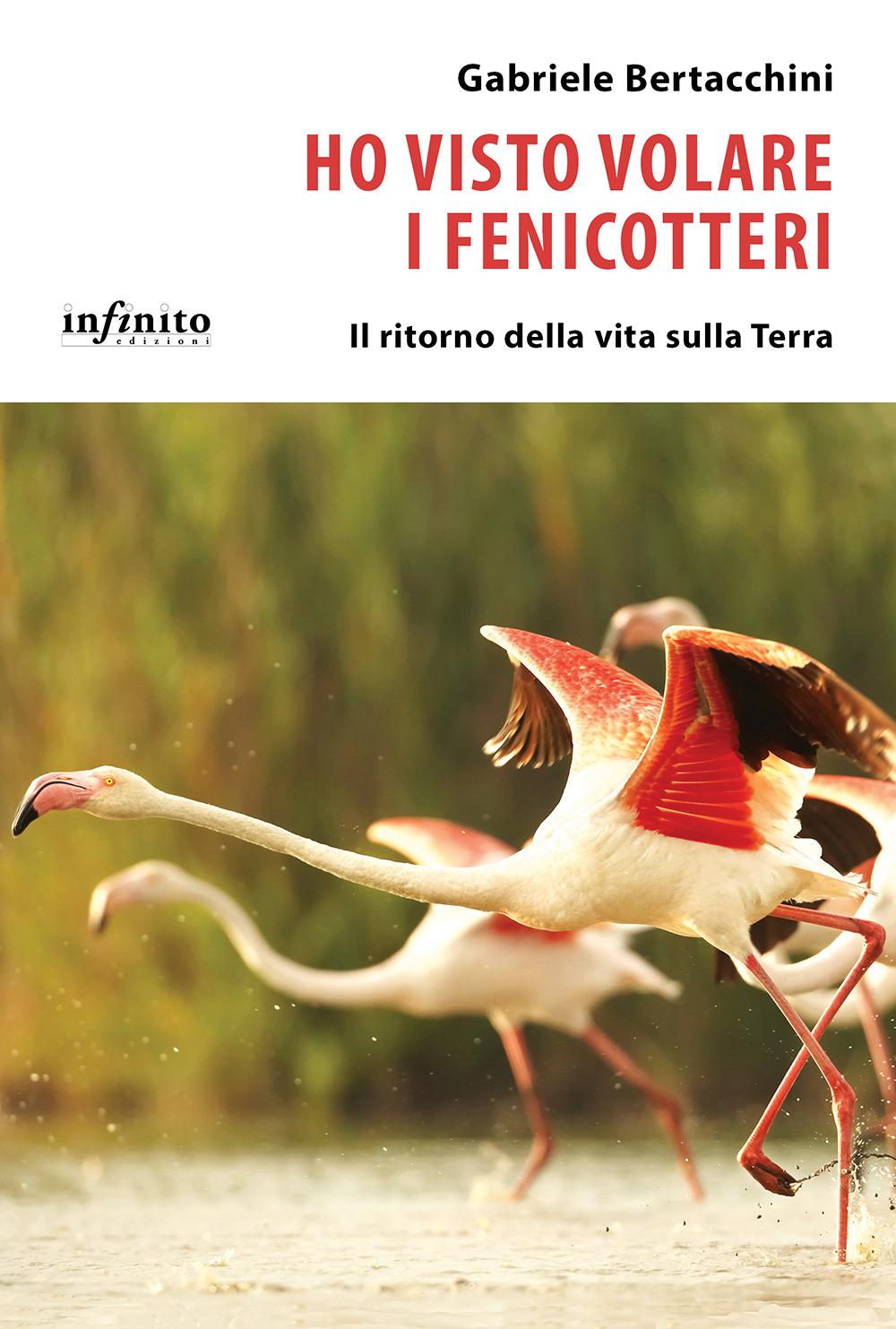 Vorderes Coverbild Ho visto volare i fenicotteri. Il ritorno della vita sulla Terra