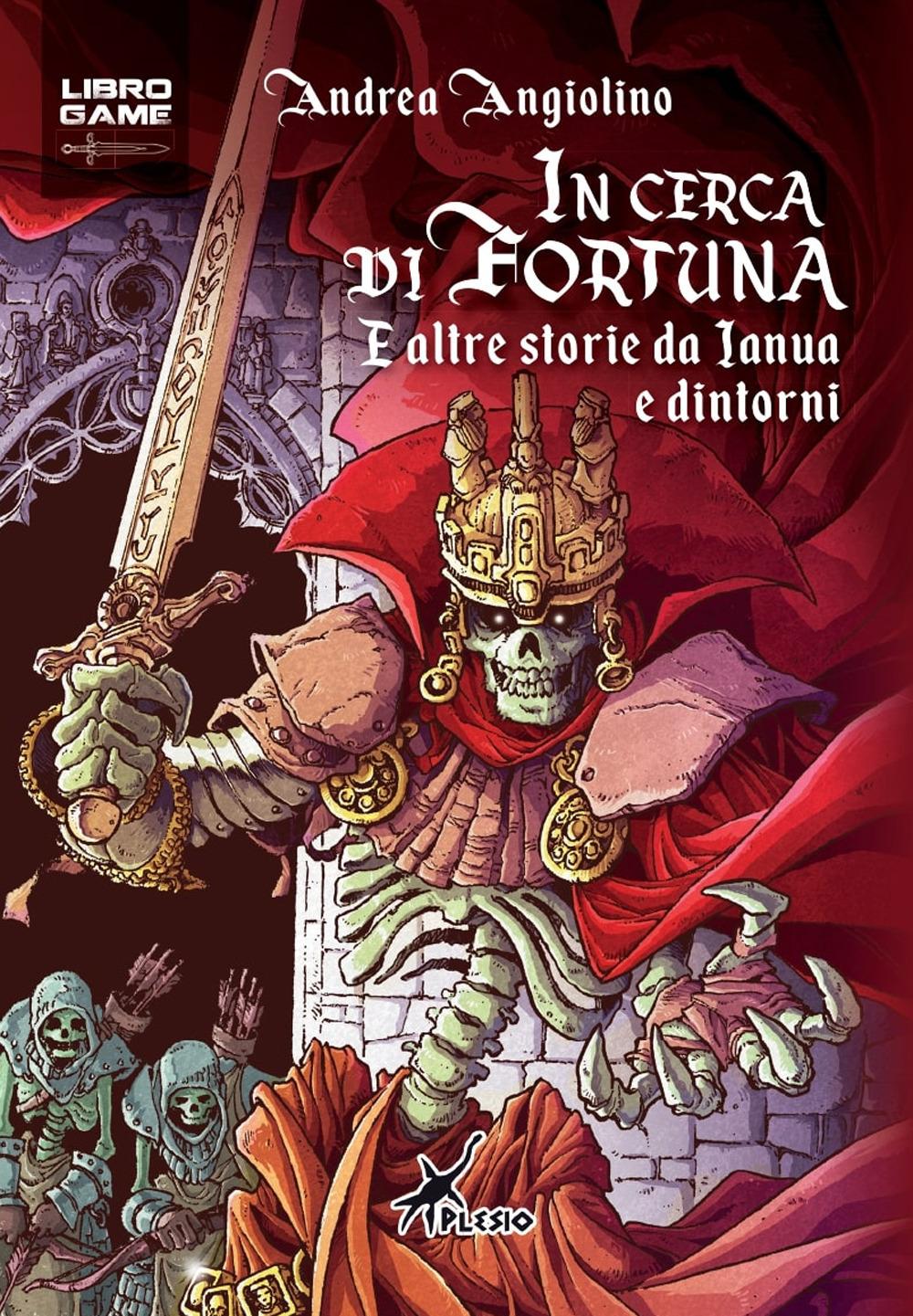 Vorderes Coverbild In cerca di fortuna. E altre storie di Ianua e dintorni