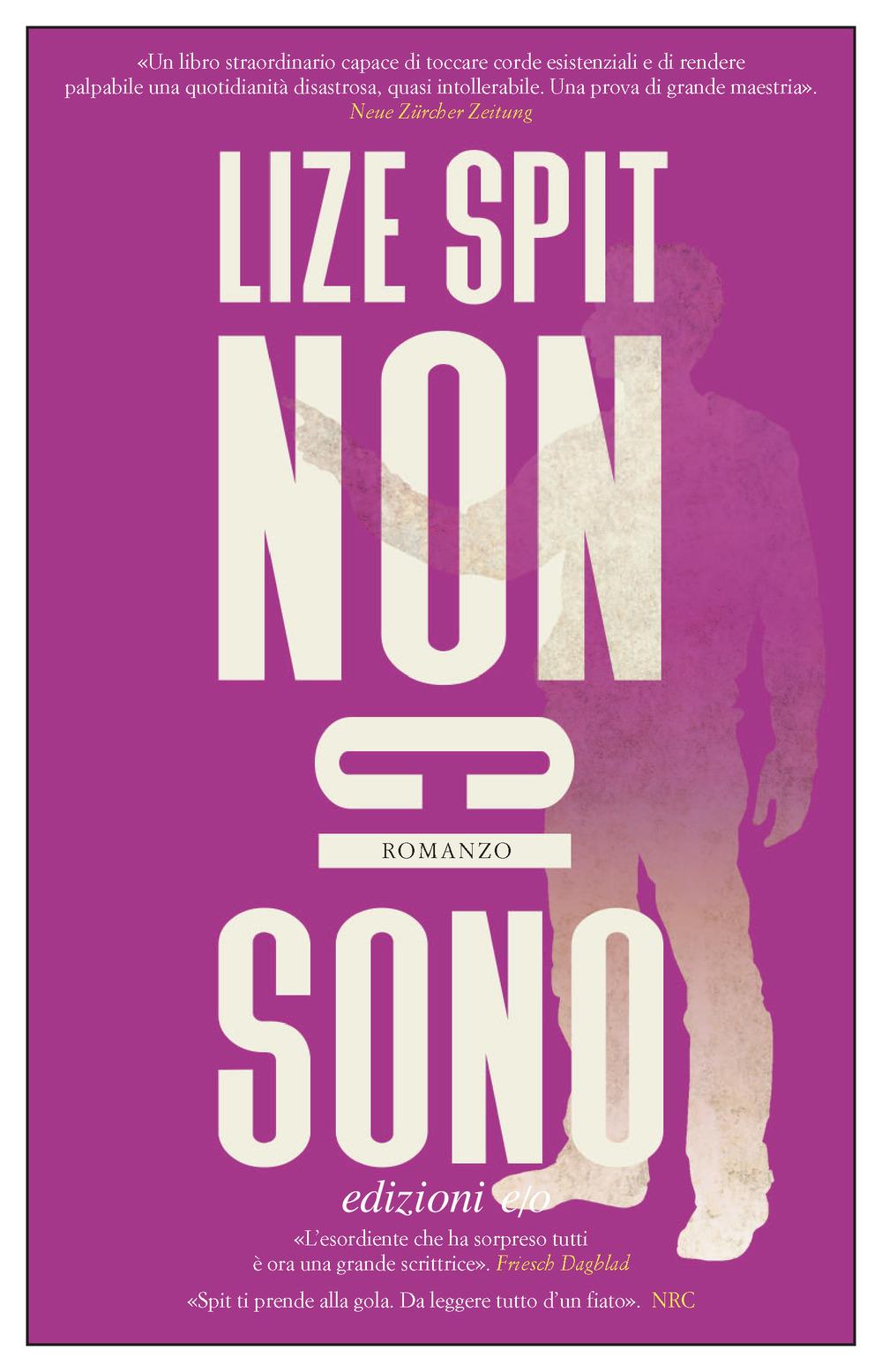 Vorderes Coverbild Non ci sono