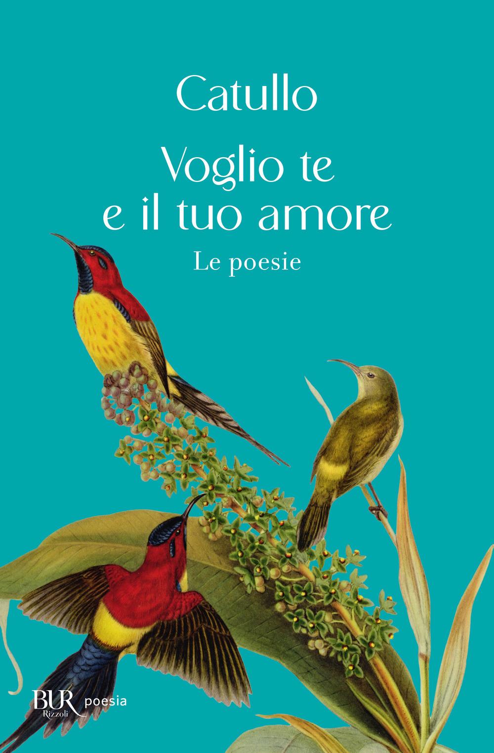 Vorderes Coverbild Voglio te e il tuo amore