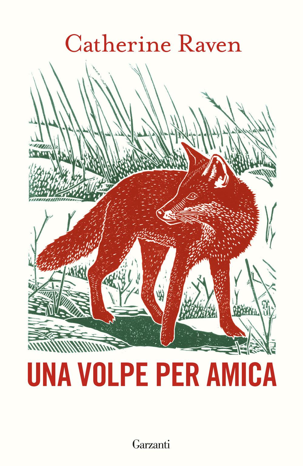 Vorderes Coverbild Una volpe per amica
