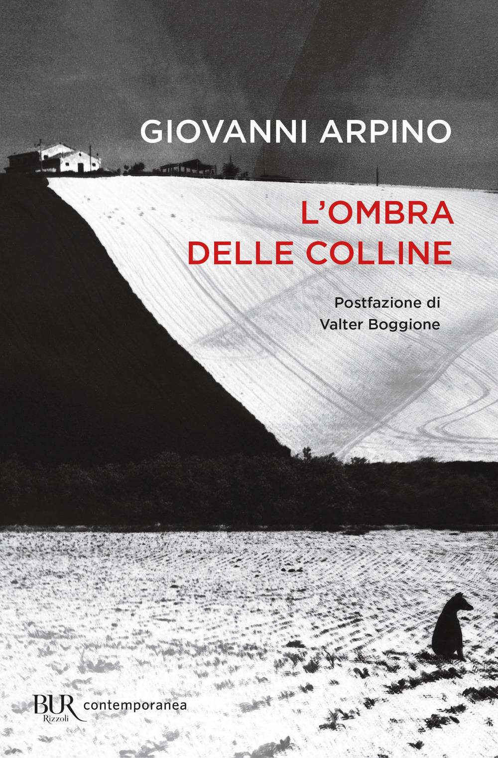 Vorderes Coverbild L' ombra delle colline