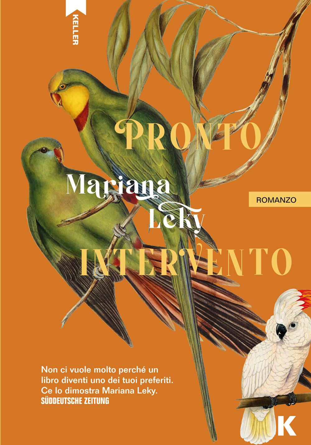 Vorderes Coverbild Pronto intervento