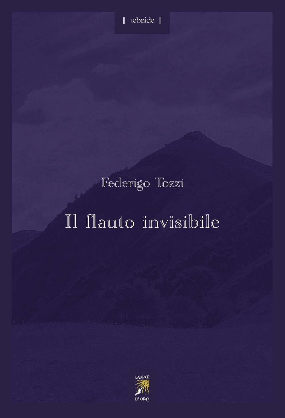 Vorderes Coverbild Il flauto invisibile