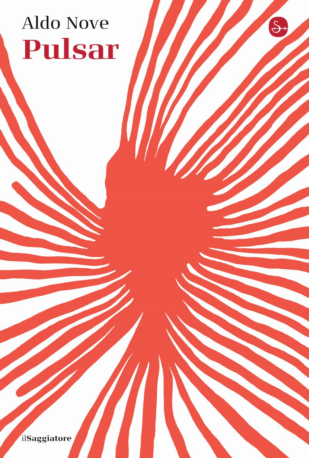 Vorderes Coverbild Pulsar