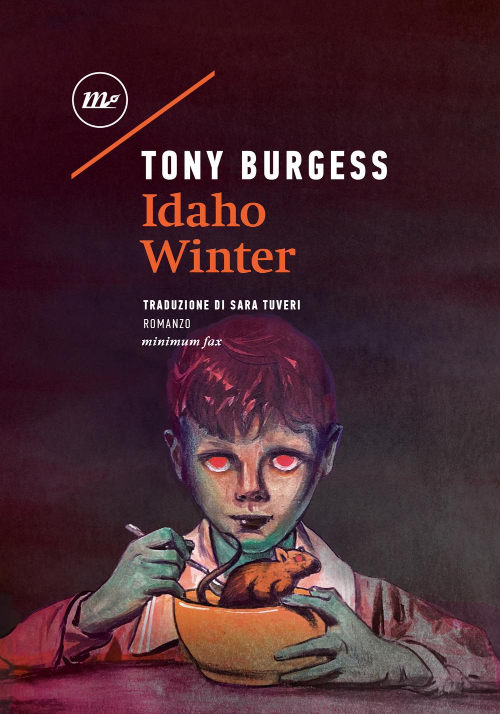 Vorderes Coverbild Idaho Winter