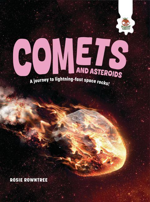 Vorderes Coverbild Comets and Asteroids