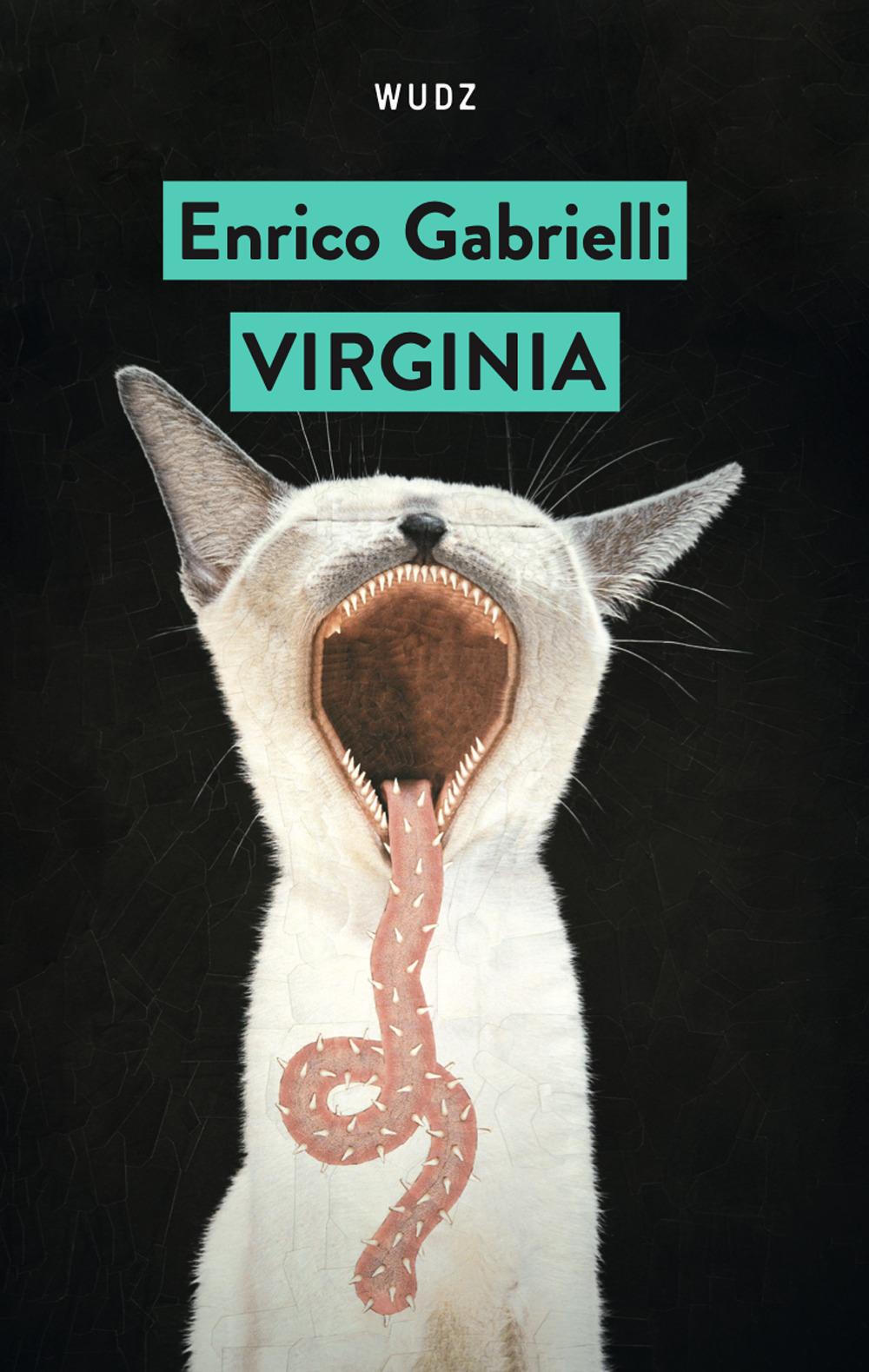 Vorderes Coverbild Virginia