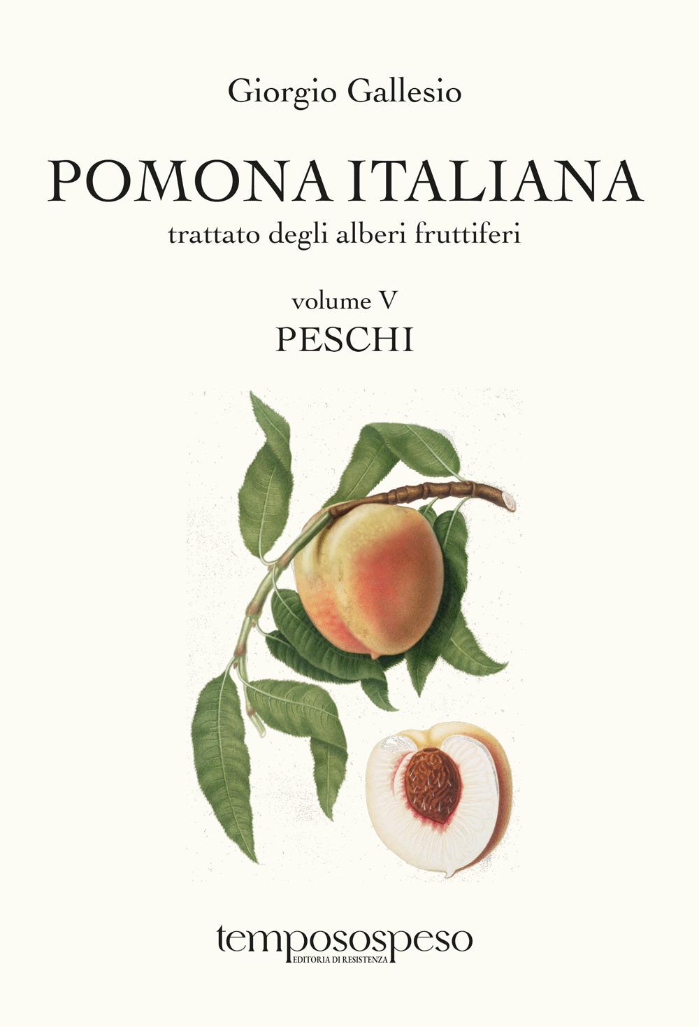 Vorderes Coverbild Peschi