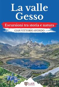 Vorderes Coverbild La valle Gesso. Escursioni tra storia e natura