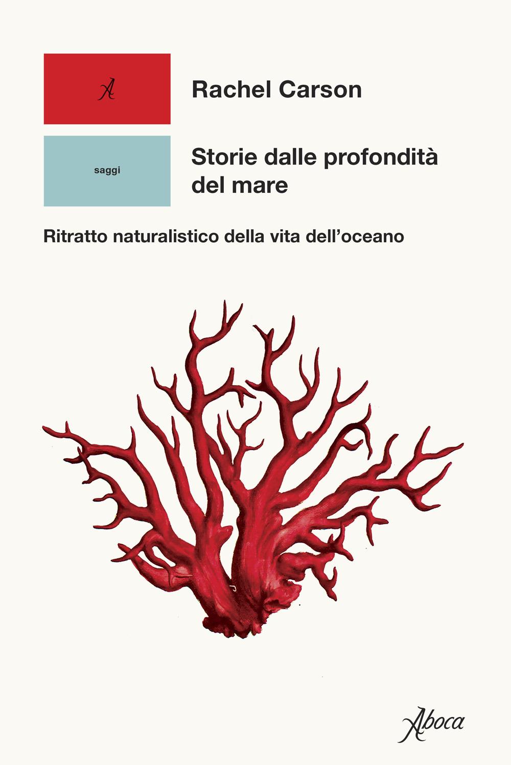 Vorderes Coverbild Storie dalle profondità del mare. Ritratto naturalistico della vita dell'oceano