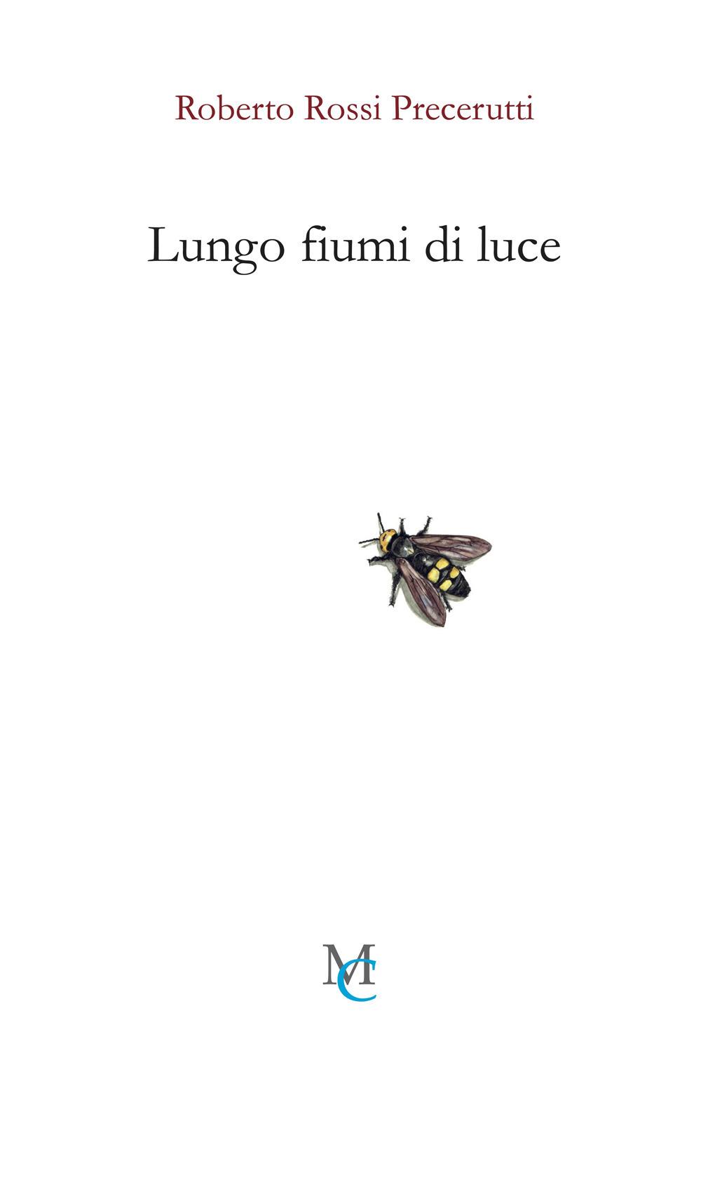 Vorderes Coverbild Lungo fiumi di luce
