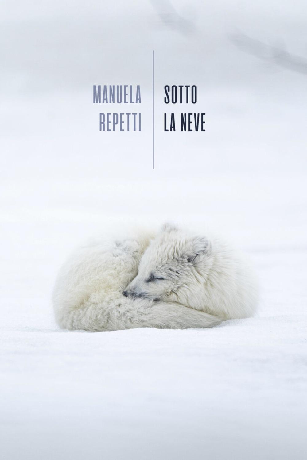 Vorderes Coverbild Sotto la neve