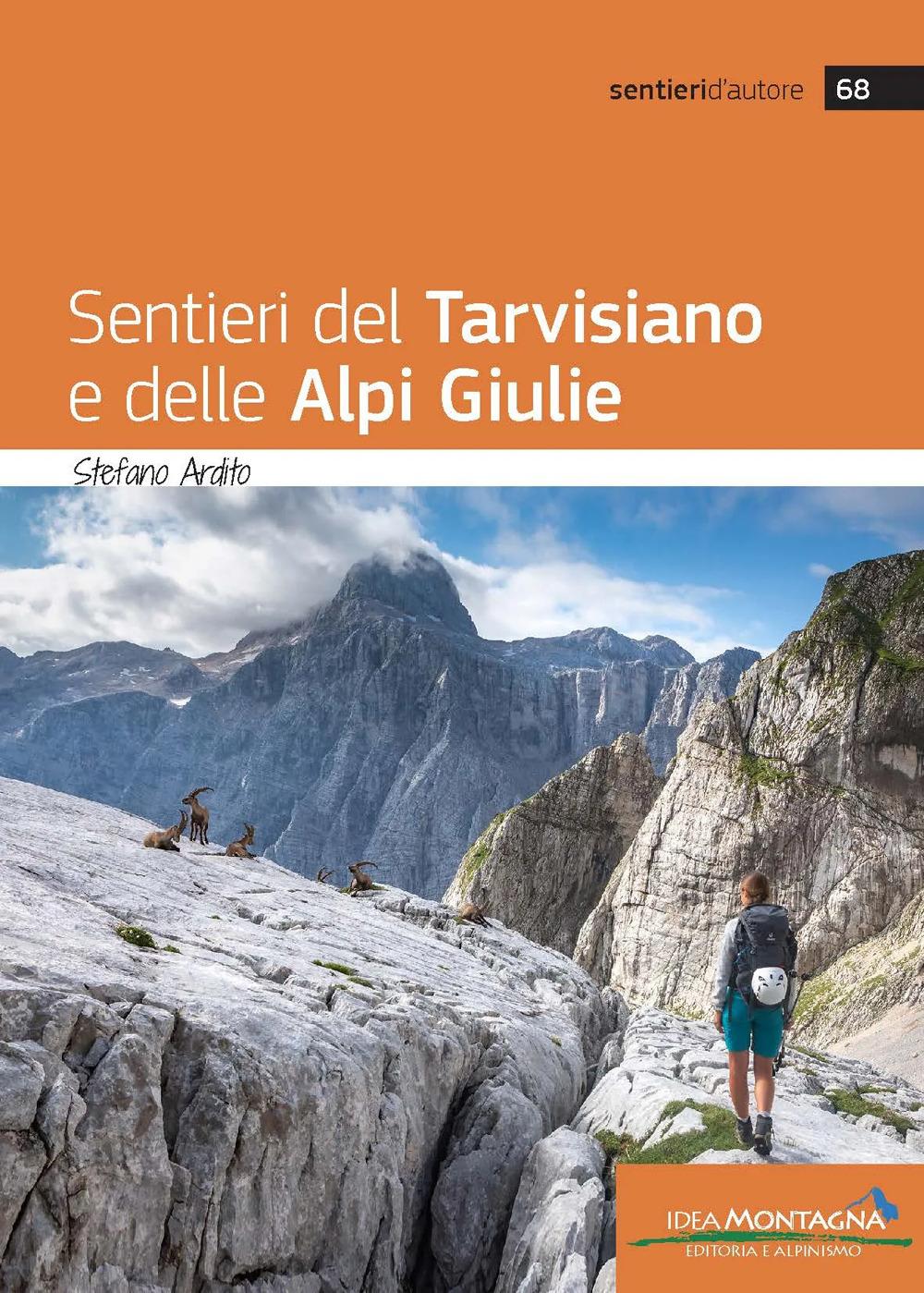 Vorderes Coverbild Sentieri del tarvisiano e delle Alpi Giulie