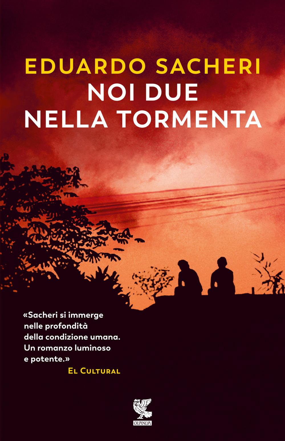 Vorderes Coverbild Noi due nella tormenta