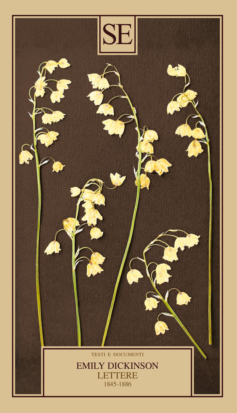 Vorderes Coverbild Lettere 1845-1886