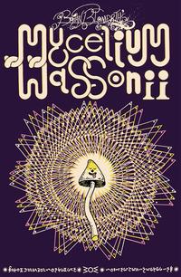 Vorderes Coverbild Mycelium Wassonii