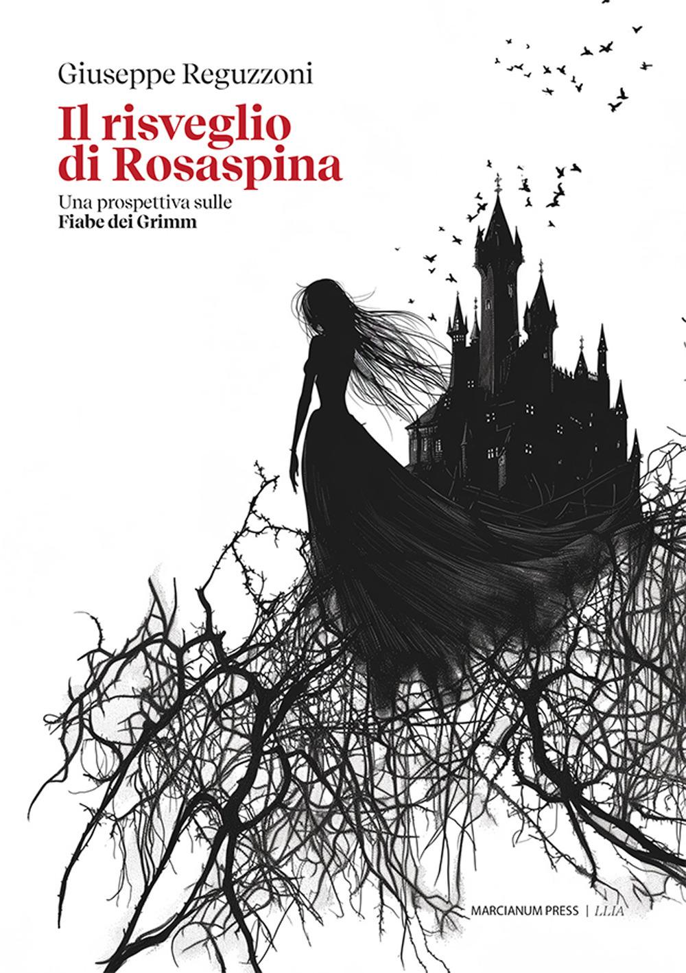 Vorderes Coverbild Il risveglio di Rosaspina. Una prospettiva sulle Fiabe dei Grimm