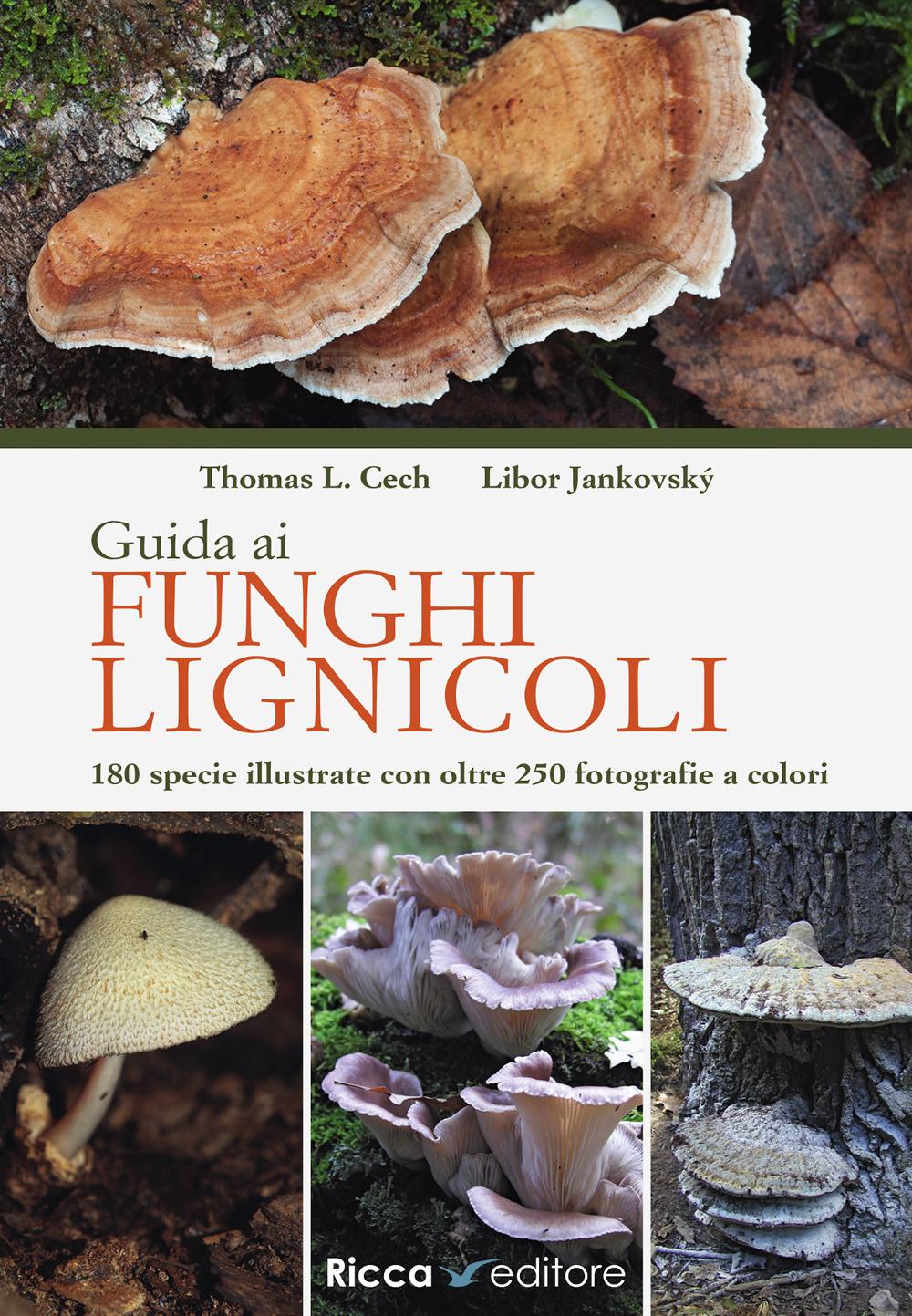 Vorderes Coverbild Guida ai funghi lignicoli
