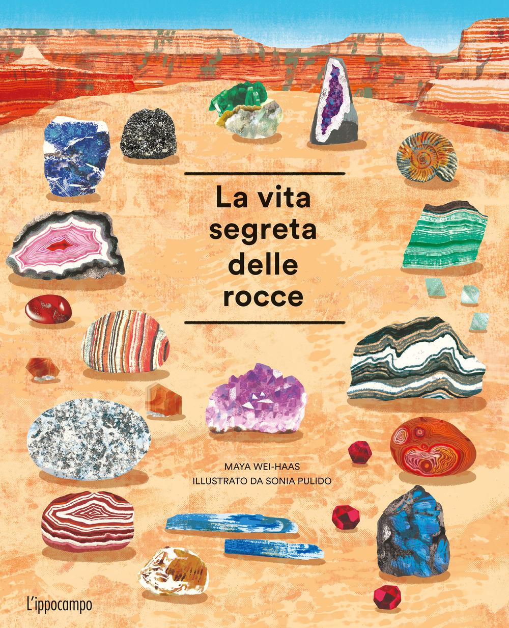 Vorderes Coverbild La vita segreta delle rocce. Album scoperte