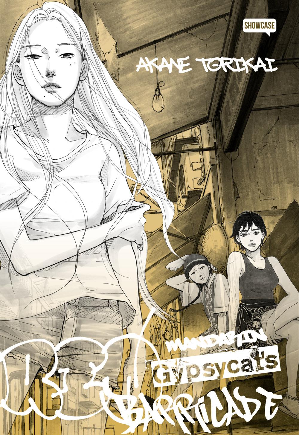 Vorderes Coverbild Mandarin gipsy cat's barricade