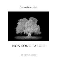 Vorderes Coverbild Non sono parole. Quasi un rifugio dall'ansia della xylella
