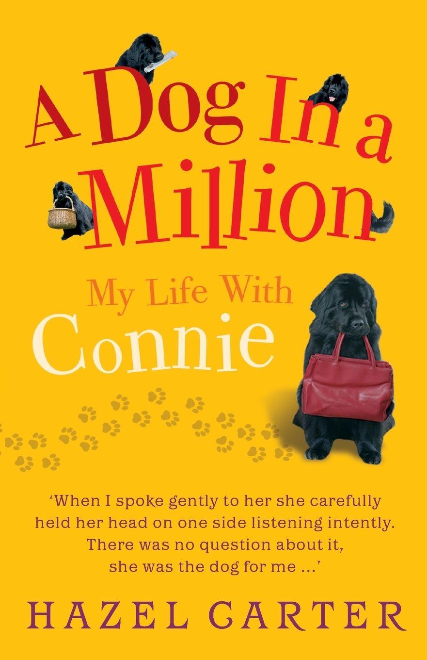 Vorderes Coverbild A Dog in a Million