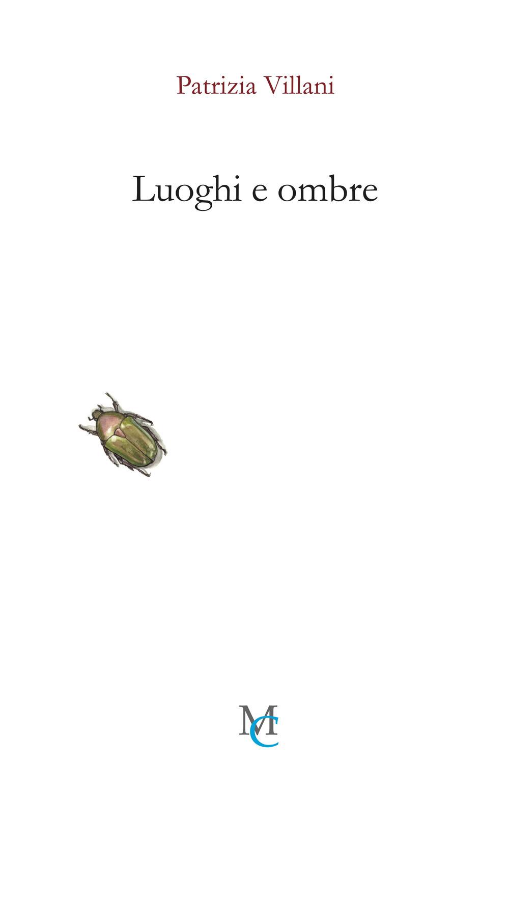 Vorderes Coverbild Luoghi e ombre