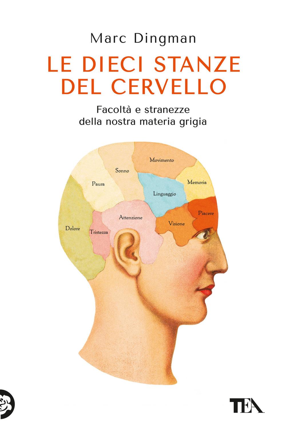 Vorderes Coverbild Le dieci stanze del cervello. Facoltà e stranezze della nostra materia grigia