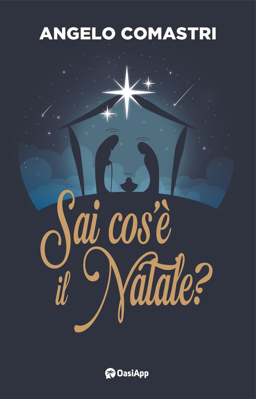 Vorderes Coverbild Sai cos'è il Natale?