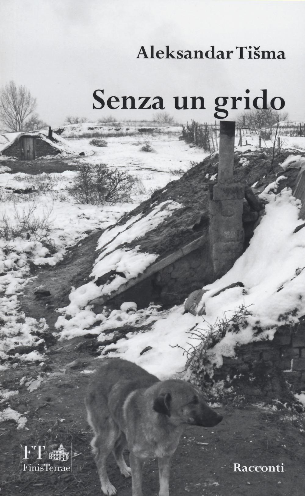 Vorderes Coverbild Senza un grido